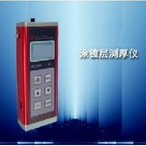 涂层测厚仪YLP06/ZX2000A