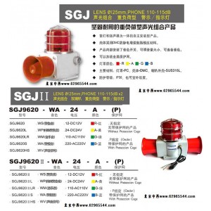 声光呼叫器JJ67-SGJ9620-WA-24-A-P