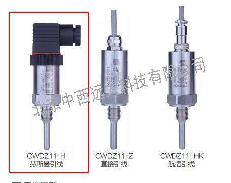 插入型温度变送器(具体参数定价)XY08-CWDZ11-H-01-A1-14-L100-G